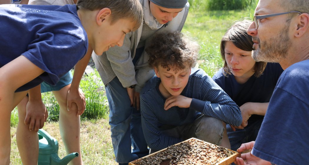 Eine Gruppe von Kindern und ein Erwachsener betrachten an einem sonnigen Tag im Freien aufmerksam einen Bienenstockrahmen und zeigen Interesse an den Bienen. In der Nähe steht eine grüne Gießkanne auf dem Rasen.